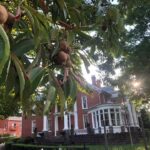 Jill Garbart Bishop House photo